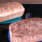 Kornbrot